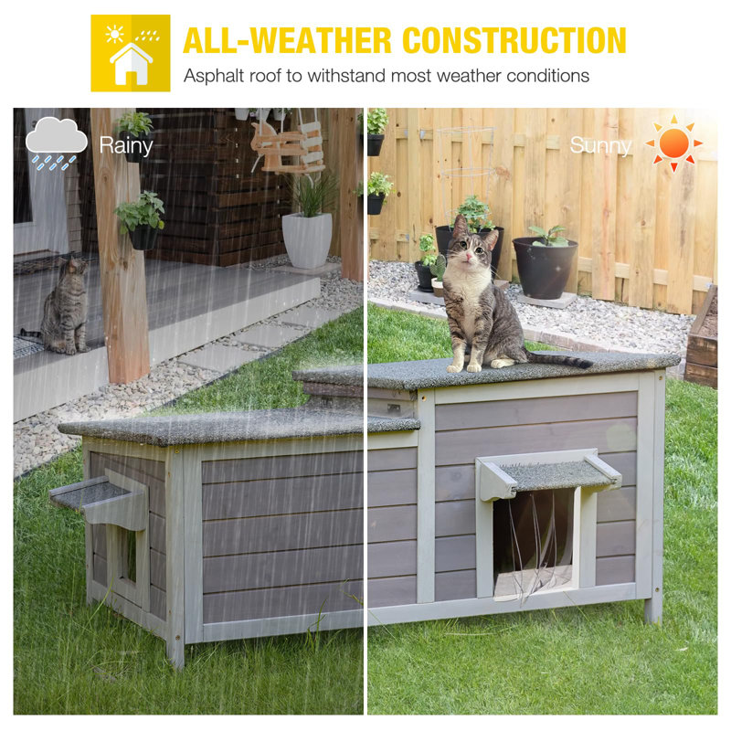 Cat House