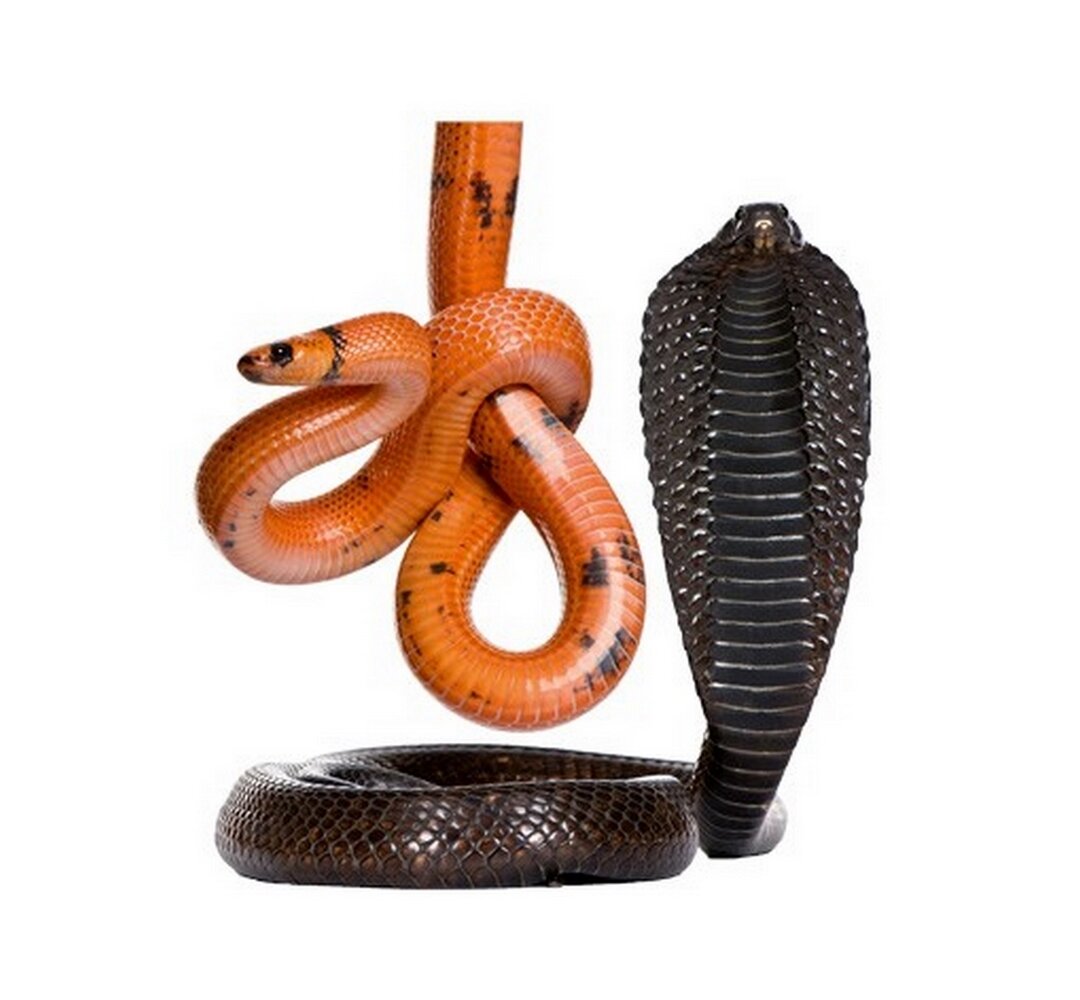 Wandtattoo Snake Set II