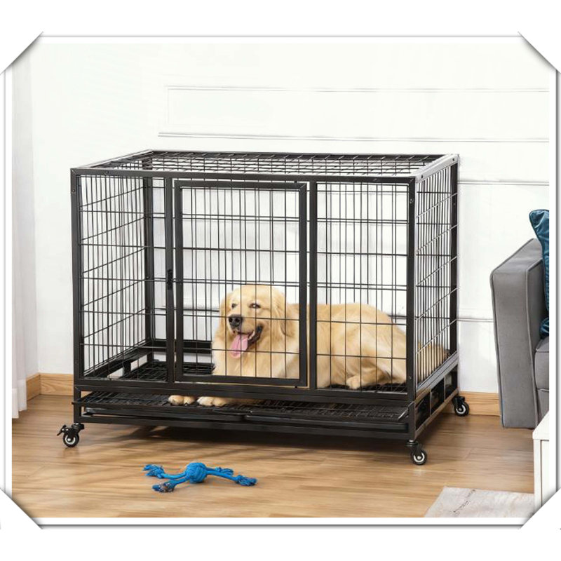 Cage à cage en métal robuste pour chenil