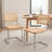 19.3" H Mid-Century Modern Cantilever Dining Chair with Cane Back and Seat, Metal Frame -1025147587-1034013907