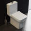 Carre One-Piece Square Toilet Dual-Flush 1.1/1.6 gpf-63681520