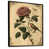 Toile avec cadre flottant noir