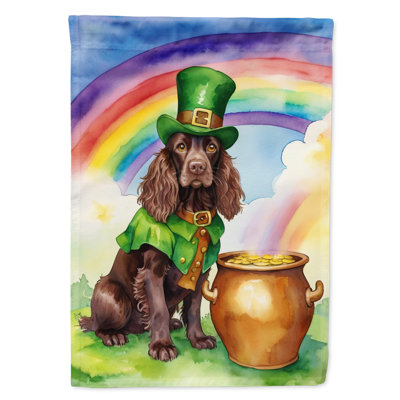 Drapeau double face en polyester H 40 po x l 28 po St Patrick's Day House
