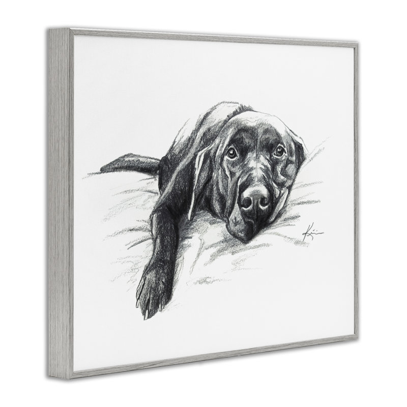 Stupell Industries Naptime Labrador, estampe numérique encadrée par Lindsay Kivi Fine Art, Estampe numérique Farmhouse