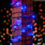 Guirlande lumineuse 50 lumières-960685575