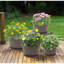 Pots à fleurs en plastique 10 po pour plantes d'intérieur, paquet de 4 ...