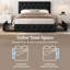 Upholstered Bed Frame with Drawer Storage-370691895-380821006