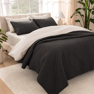 Modern & Contemporary Coverlet