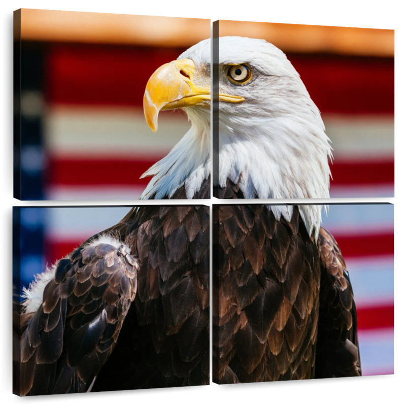 Brampt Mighty US Bald Eagle, 74" H x 74" W