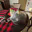 Photos des clients 2 de 2