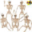 5 PCS Posable Halloween Skeletons Full Body