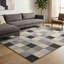 Caylyn Area Rug-1830507979-1830507978