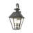 Frankly 4 - Bulb 27.5" Outdoor Wall Lantern-1091048932