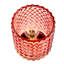 Broadi Novelty Lamp