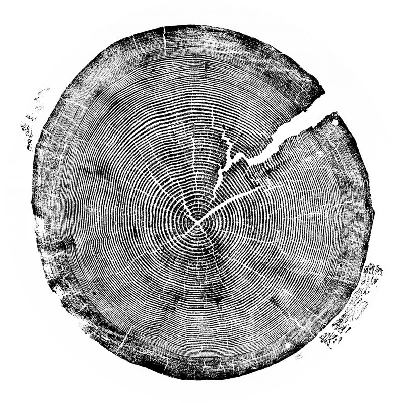 Pine Print