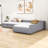 Aylenne Twin Size Upholstered Daybed with Trundle and Drawer-2003248766