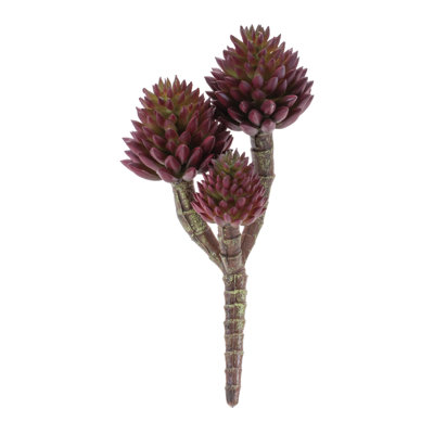 Succulent Plant Pick