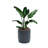 Handmade Modern Gray MgO 14.17" Round Pot Planter