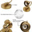 Armed Sconce