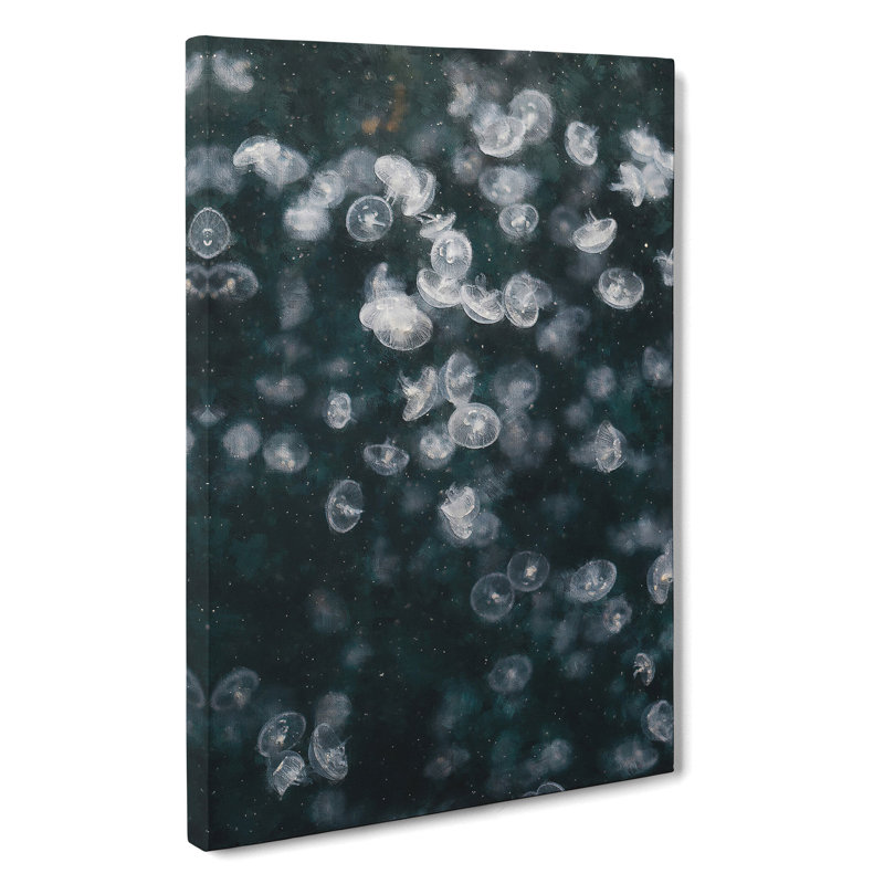 Jellyfish Vol.4 - Wrapped Canvas, 50cm H x 35cm W x 3cm D