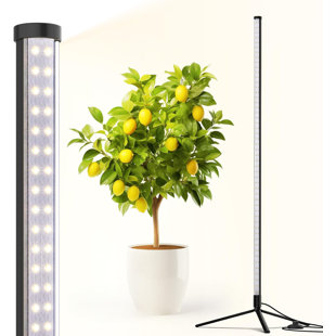 Barrina 4FT T10 Standing Grow Light, 42W, 5000K, Vertical Grow Light, Full Spectrum