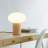 Ivy Wood 9.5" Modern LED Table Lamp with Oval Frosted Glass Shade and Phone Charging USB-C Port-521710563-521710562