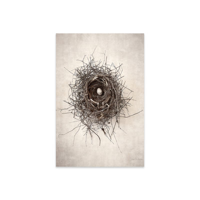«Nest I» par Debra Van Swearingen - peinture sans cadre
