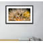 Float Away Print by Geoffrey Baris-48617804-48617811