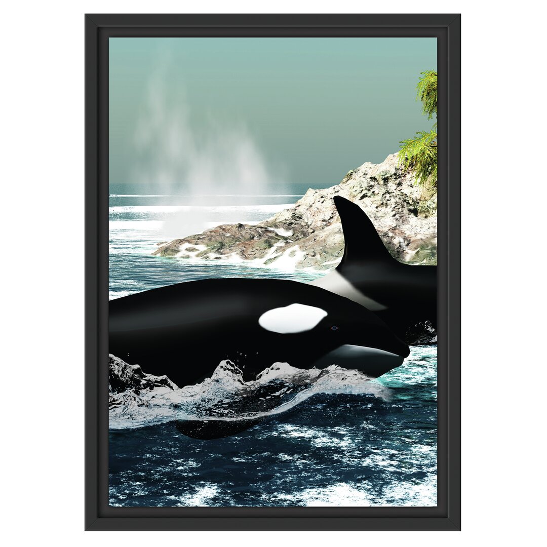 Gerahmtes Wandbild Orcas vor Insel