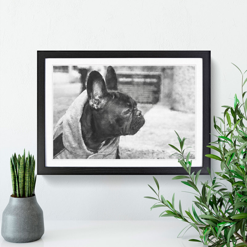 French Bulldog Vol.2 - Picture Frame Graphic Art, 48cm H x 65cm W x 2cm D, Black Framed