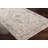 Lodean Oriental Indoor Rug-1802566137