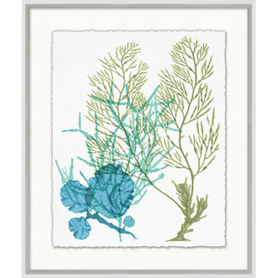 Deep Sea Kelp 9 Print