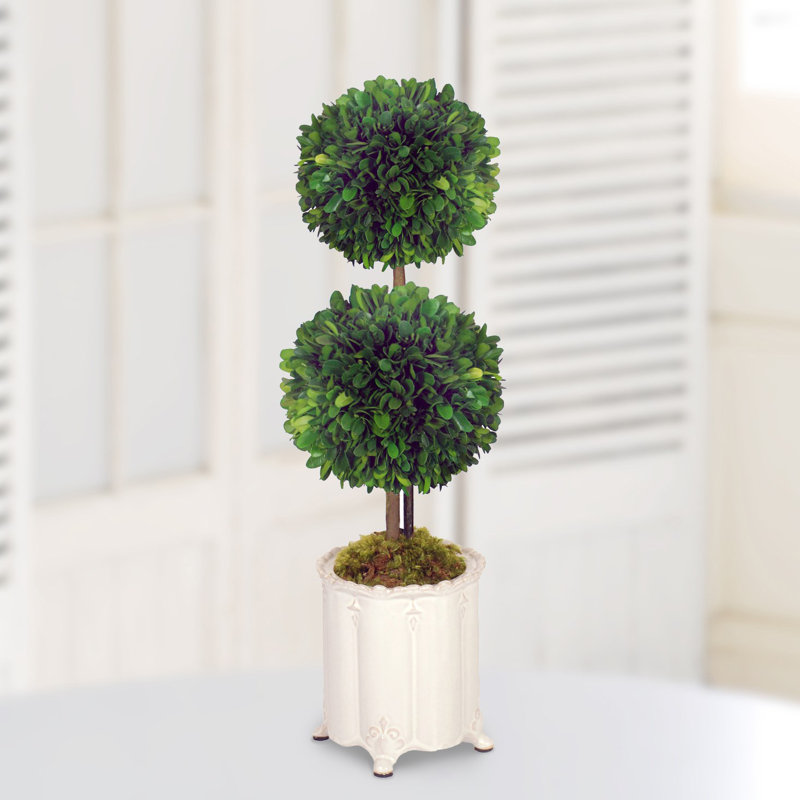 DOUBLE BALL TOPIARY IN A CANISTER VASE
