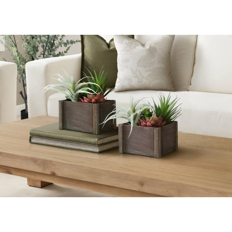 Artificial Succulent
