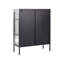 Shiena Steel 2 -Door Accent Cabinet