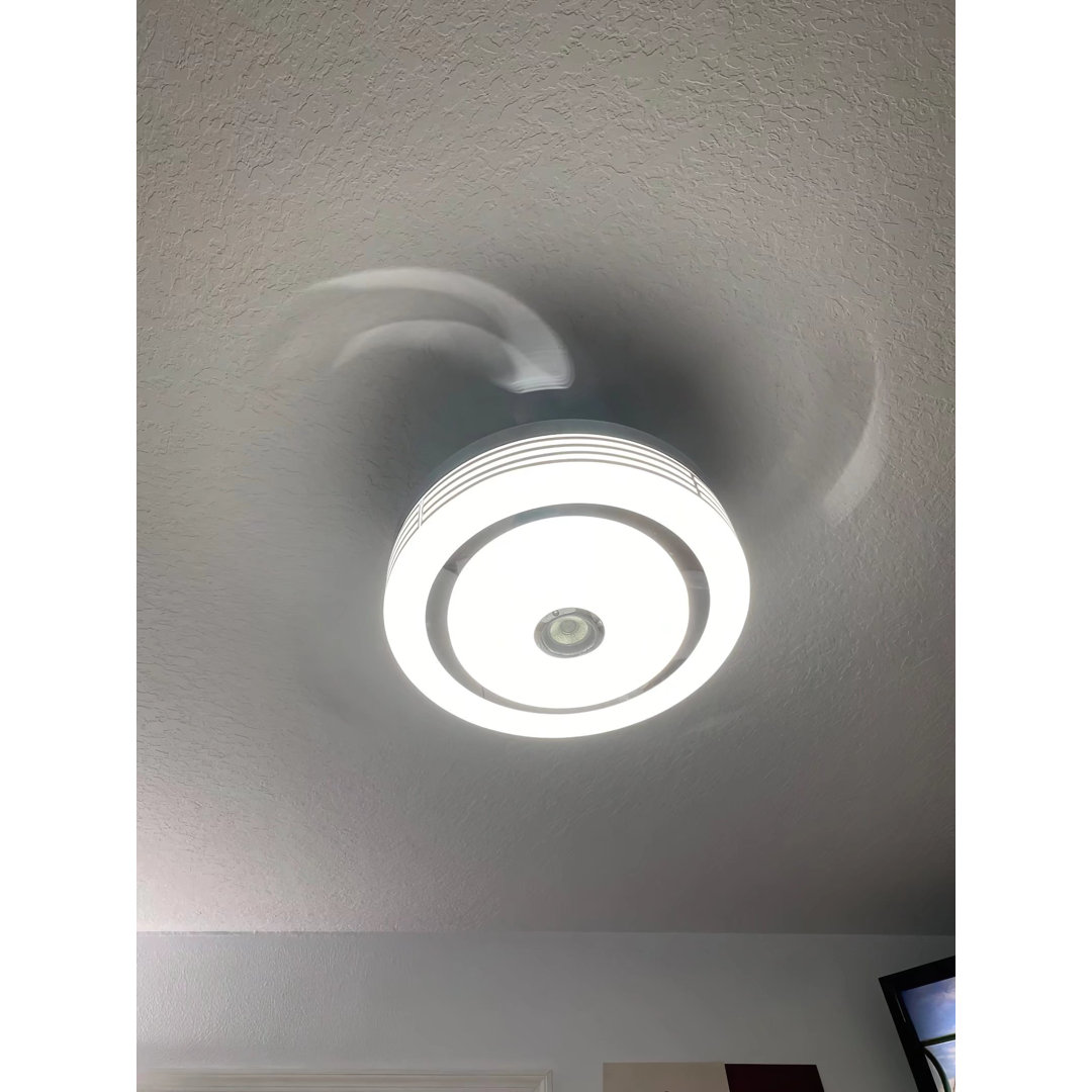 42'' Ceiling Fan with LED Lights Orren Ellis