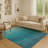 Premium Machine Washable Ariel Ombre Rug-1593498469