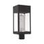Araly Transparent Lantern Head