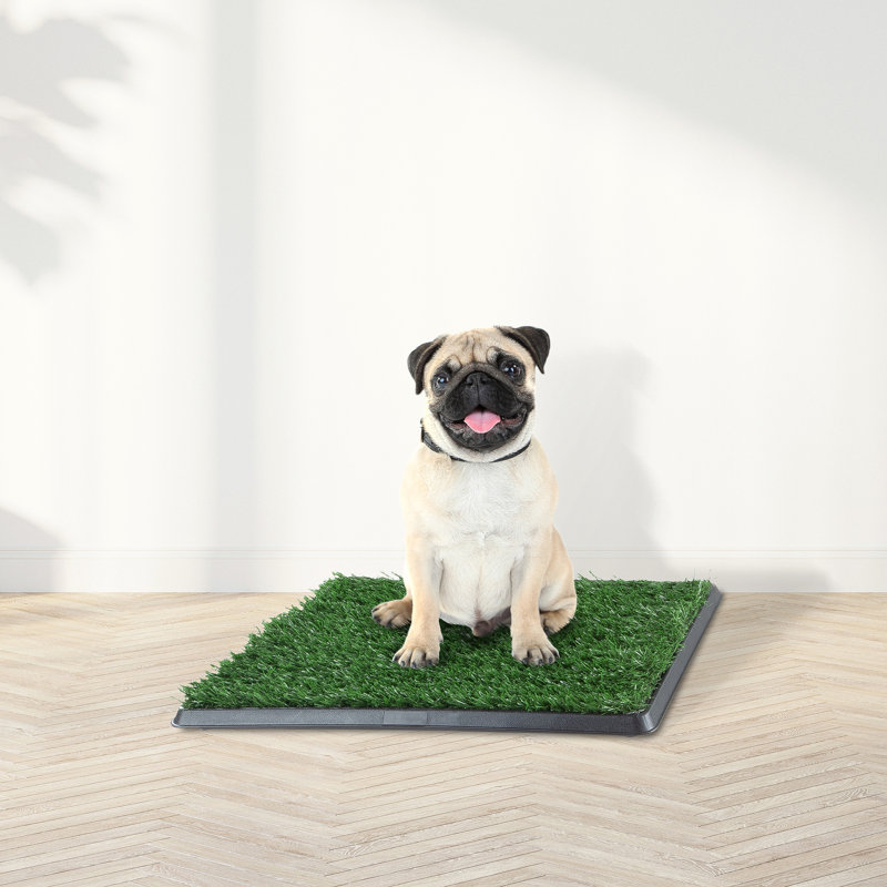PETMAKER Artificial Grass Puppy Pee Pad with Tray, Reusable Dog Potty Training Mat for Indoor & Outdoor Use, Easy Clean Artificial Turf Surface for Dogs and Small Pets, Fake Grass Potty
