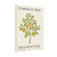 Plantes et fleurs, arbre botanique, illustration botanique-1888223713