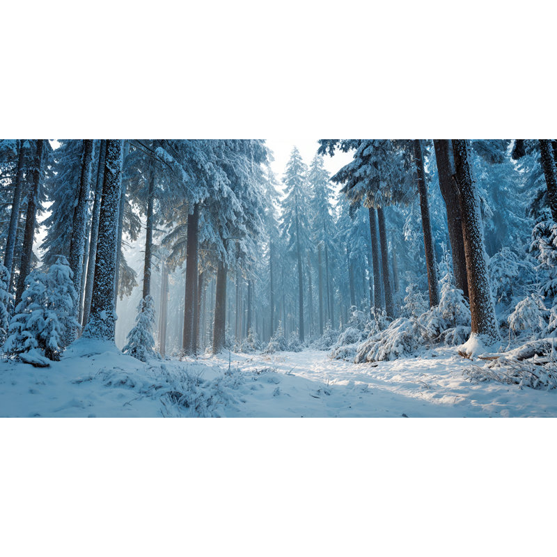 «Winter Light in the Pines», art mural sur toile tendue, H 24 po x l 48 po