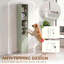 Bookcase-2011259578