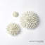 Urchin-White-Sm-1447989705