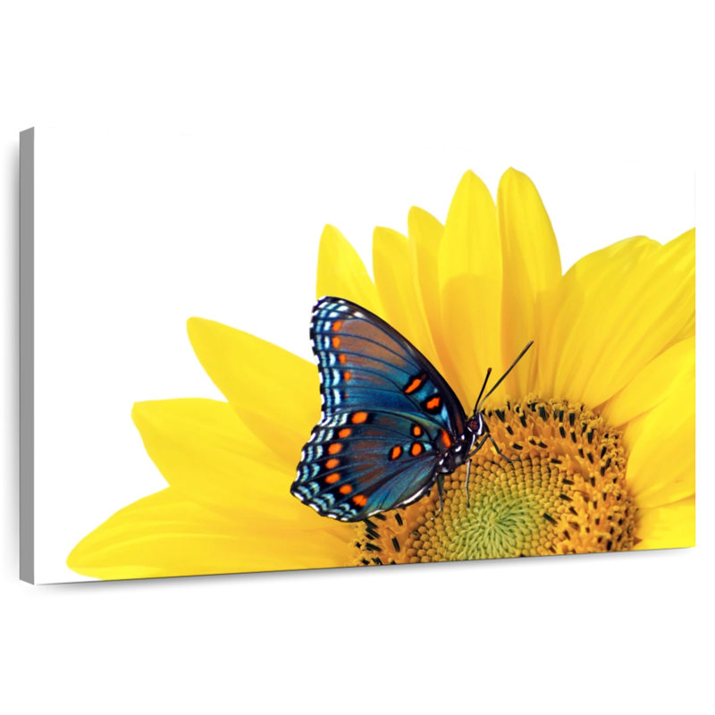 Tournesol Brampt avec papillon, H 8 po x l 12 po