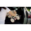 AIYAPLAY Kids Trike Foldable 5 in 1 Parent Handle Ages 1-3-802434875