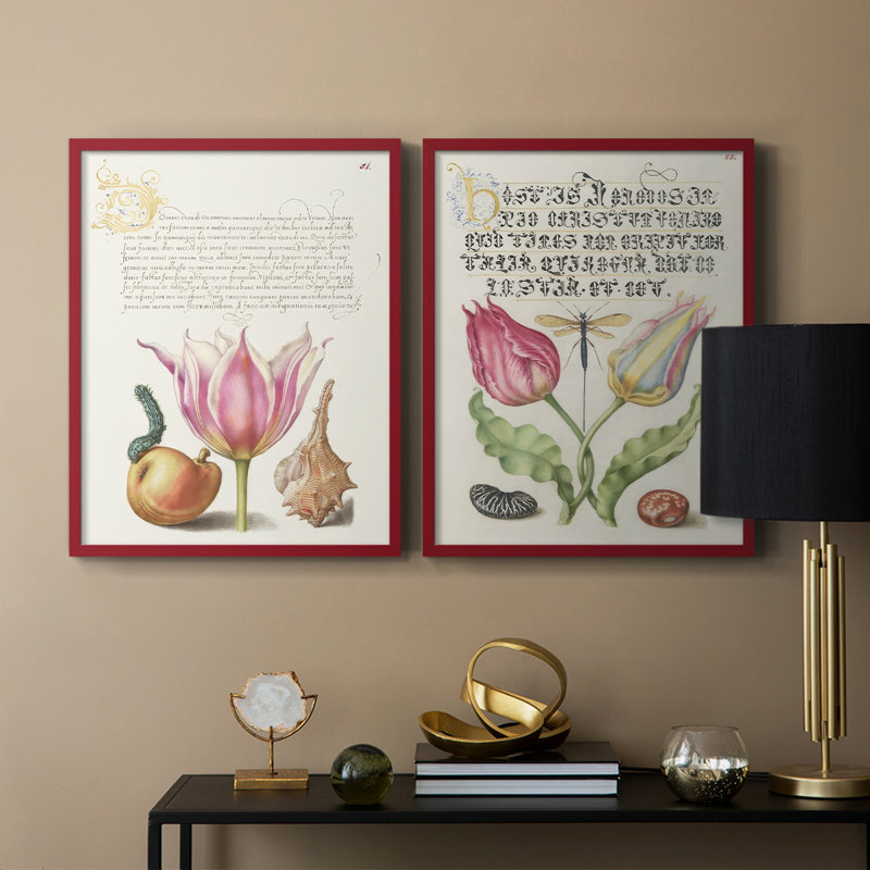 Reproduction encadrée Hoefnagel Tropical Specples IV-Premium - prête à être accrochée - aucun clou requis - aucun clou requis
