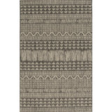 Anqunette Indoor / Outdoor Rug