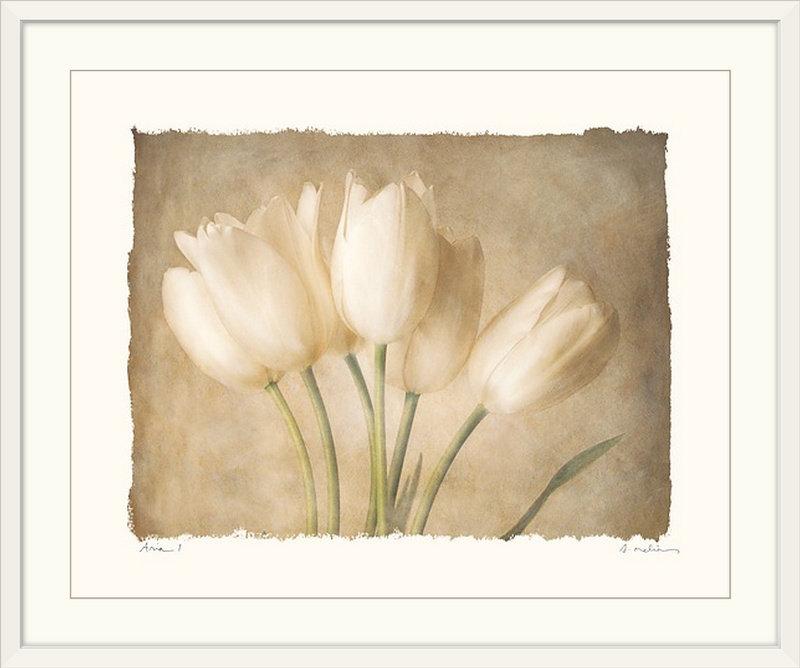 " Aria ", 20" H x 23" W x 1" D, White Framed