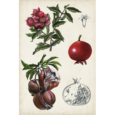 «Pomegranate Composition II» par Naomi McCavitt - peinture sur toile tendue