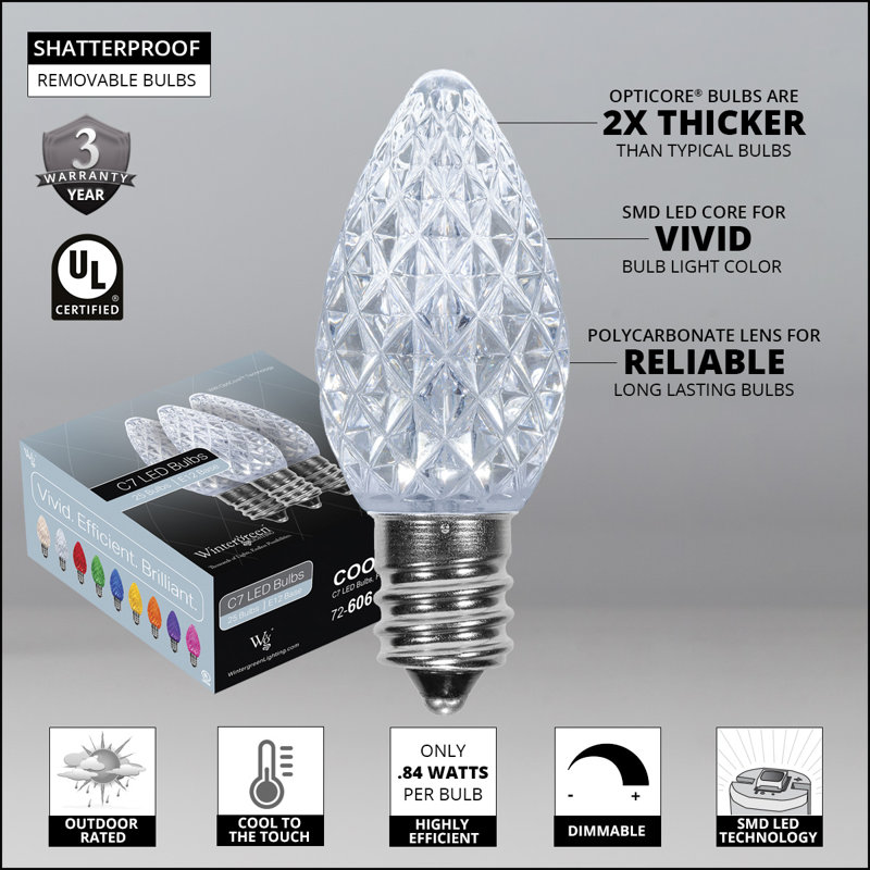 OptiCore Shatterproof LED Luminary & Pathway Lights, 25 feet